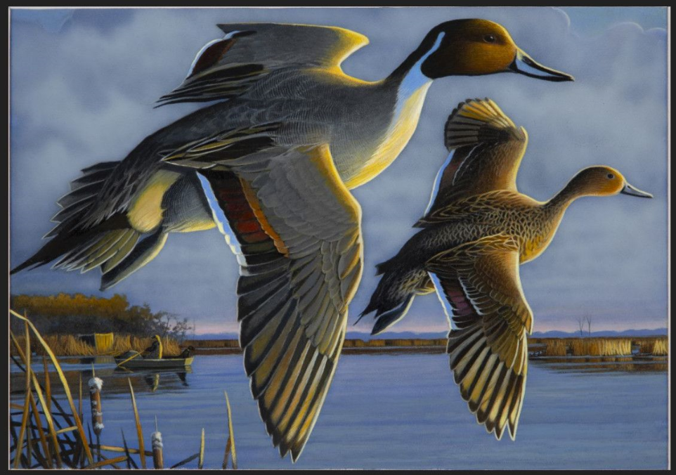 Federal Duck Stamp Competition Continues To Produce Amazing Works Of Art